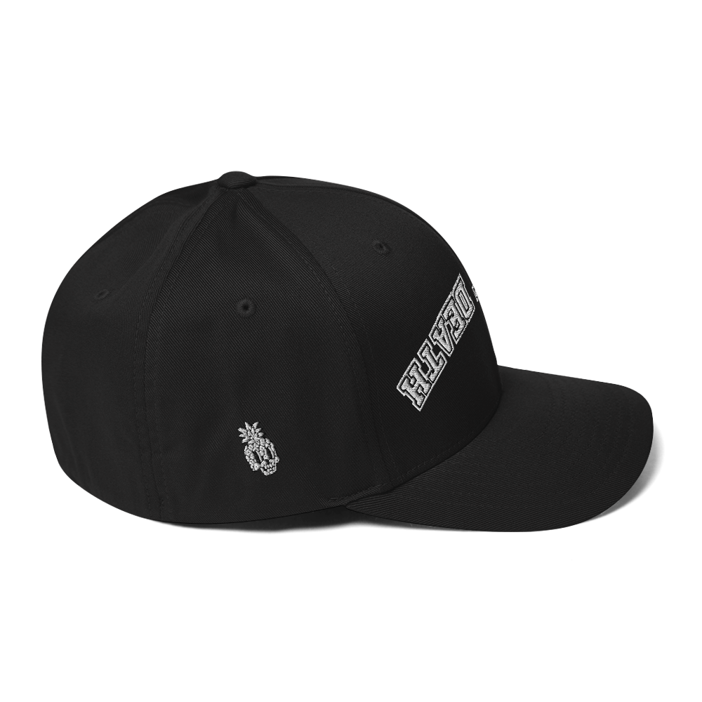 Nine8Twelve Defeat Death FlexFit Hat