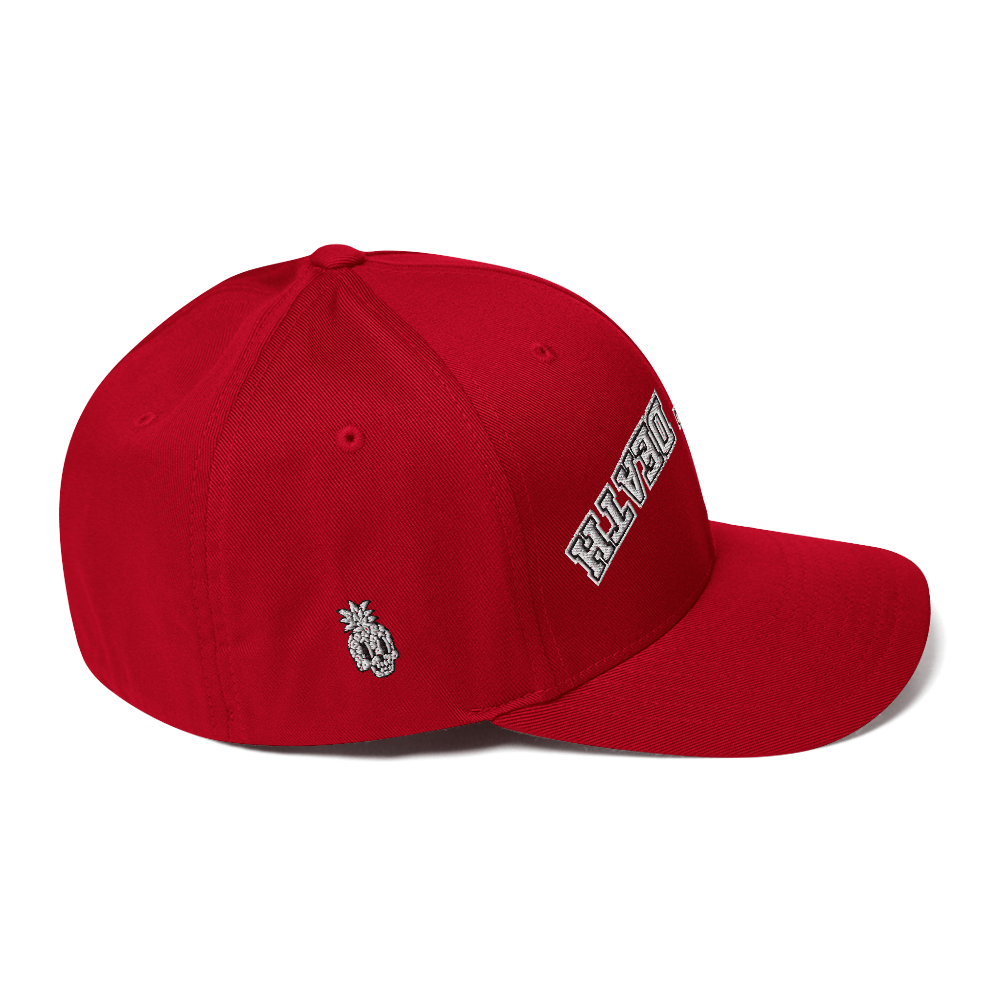 Nine8Twelve Defeat Death FlexFit Hat