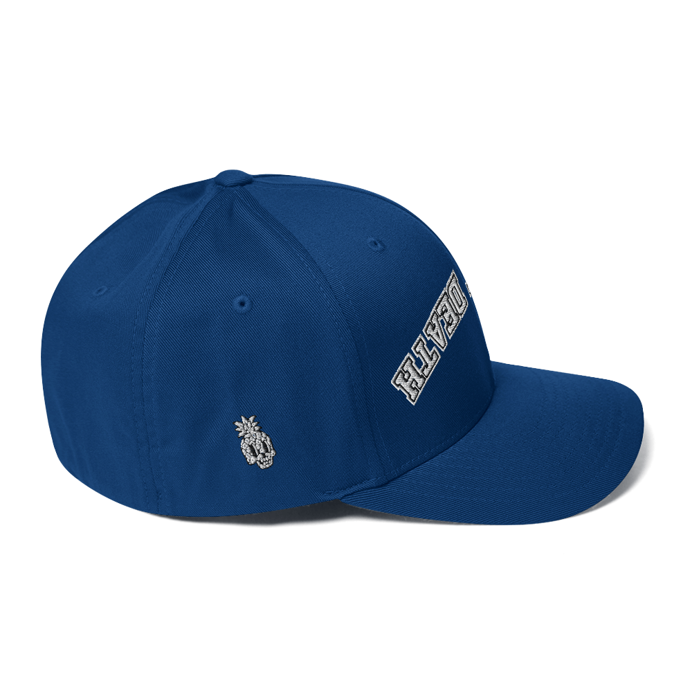 Nine8Twelve Defeat Death FlexFit Hat