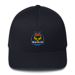 Benevolynt Flexfit Hat