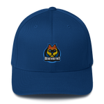 Benevolynt Flexfit Hat