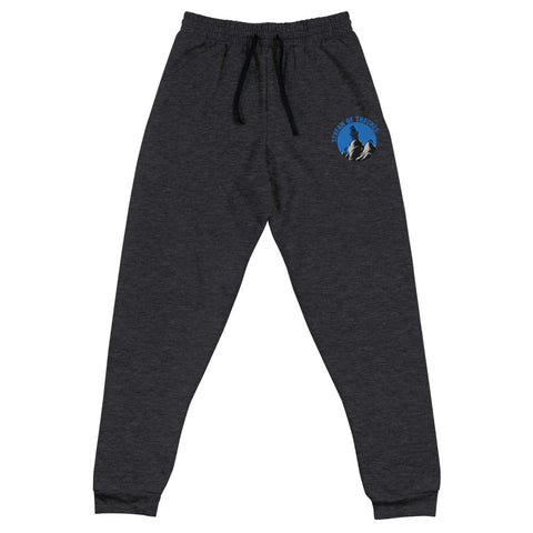 Stream of Thrones Embroidered Joggers