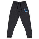S1N1STERGAMING Joggers