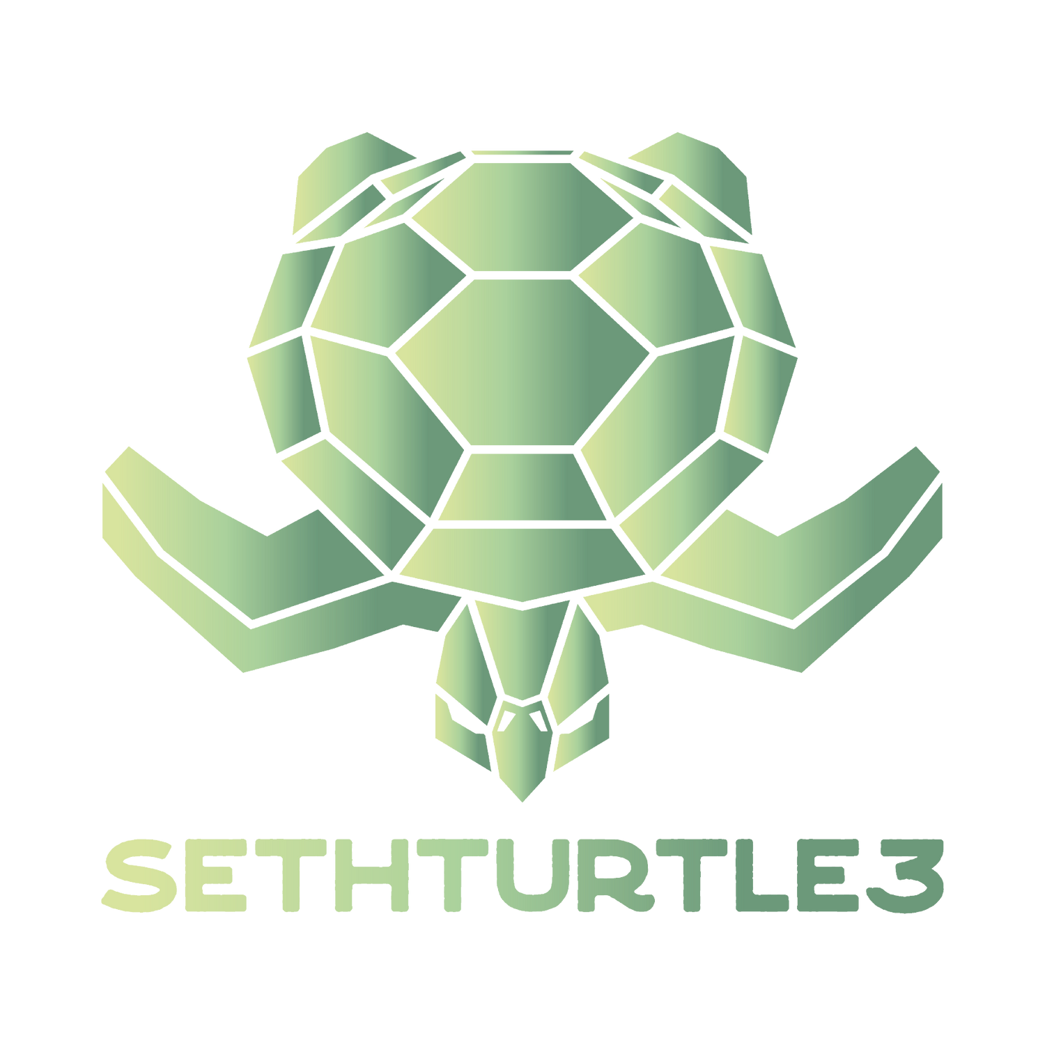 SethTurtle3