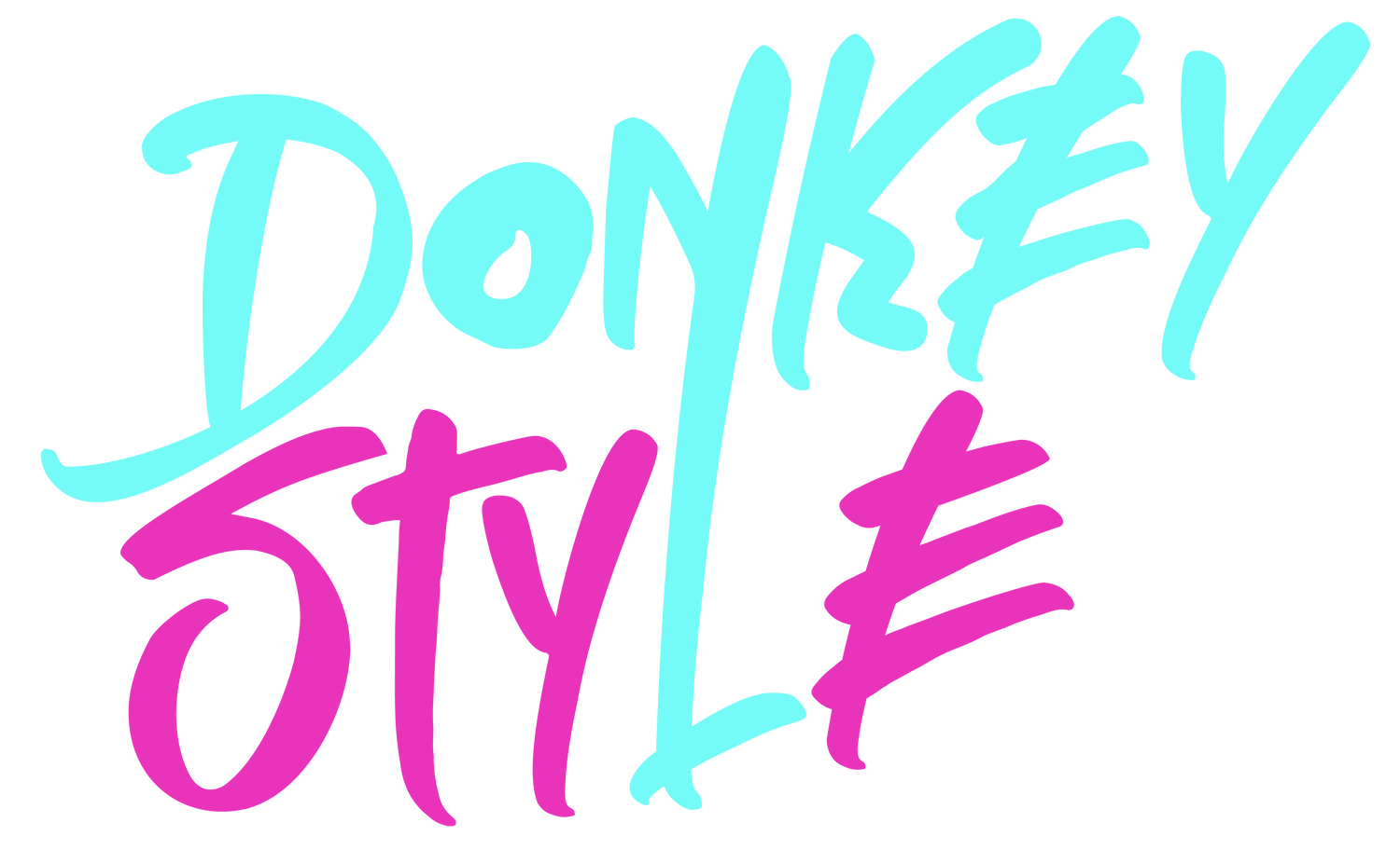 DonkeyStyle
