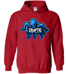 Cryptic Core Gaming Hoodie