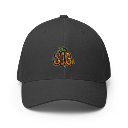 SweatyJayGaming Flexfit Hat