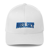 Woolsey Gaming Flexfit Hat