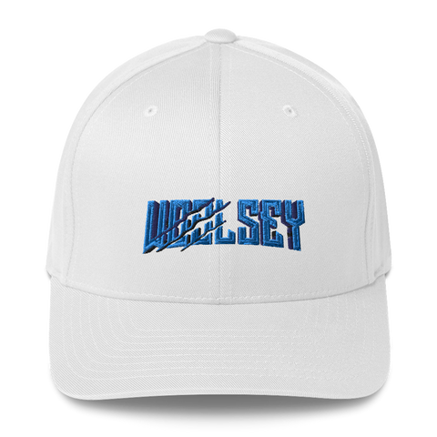 Woolsey Gaming Flexfit Hat