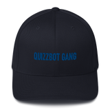 Quizz09 Gaming Flexfit Cap