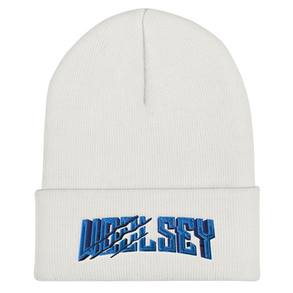 Woolsey Gaming Beanie