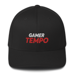 GamerTempo Flexfit Hat